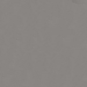 RAL 7024 DS