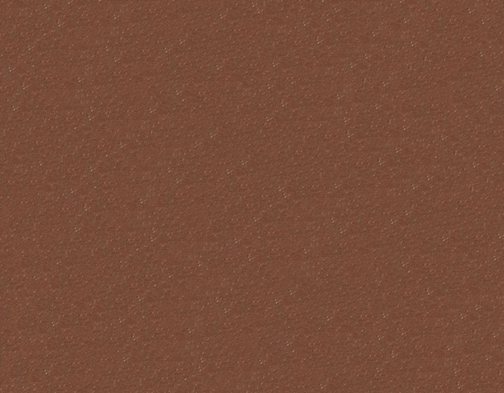RAL 8017 DS