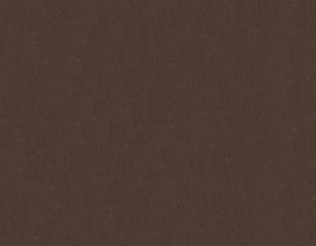 RAL 8019 DS