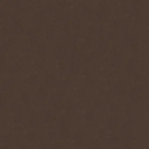 RAL 8019 DS