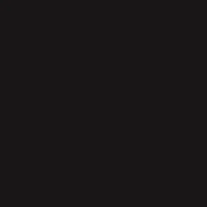 RAL 8022 MAT